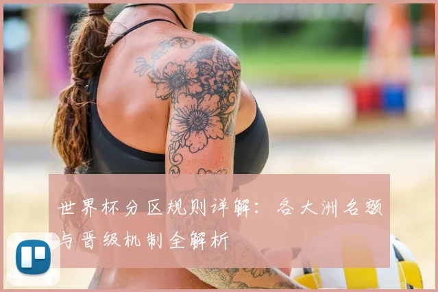 世界杯分区规则详解：各大洲名额与晋级机制全解析